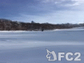 動画:fullsizeoutput_75b.mov