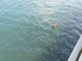 海女さん🎶 海女さん🎶